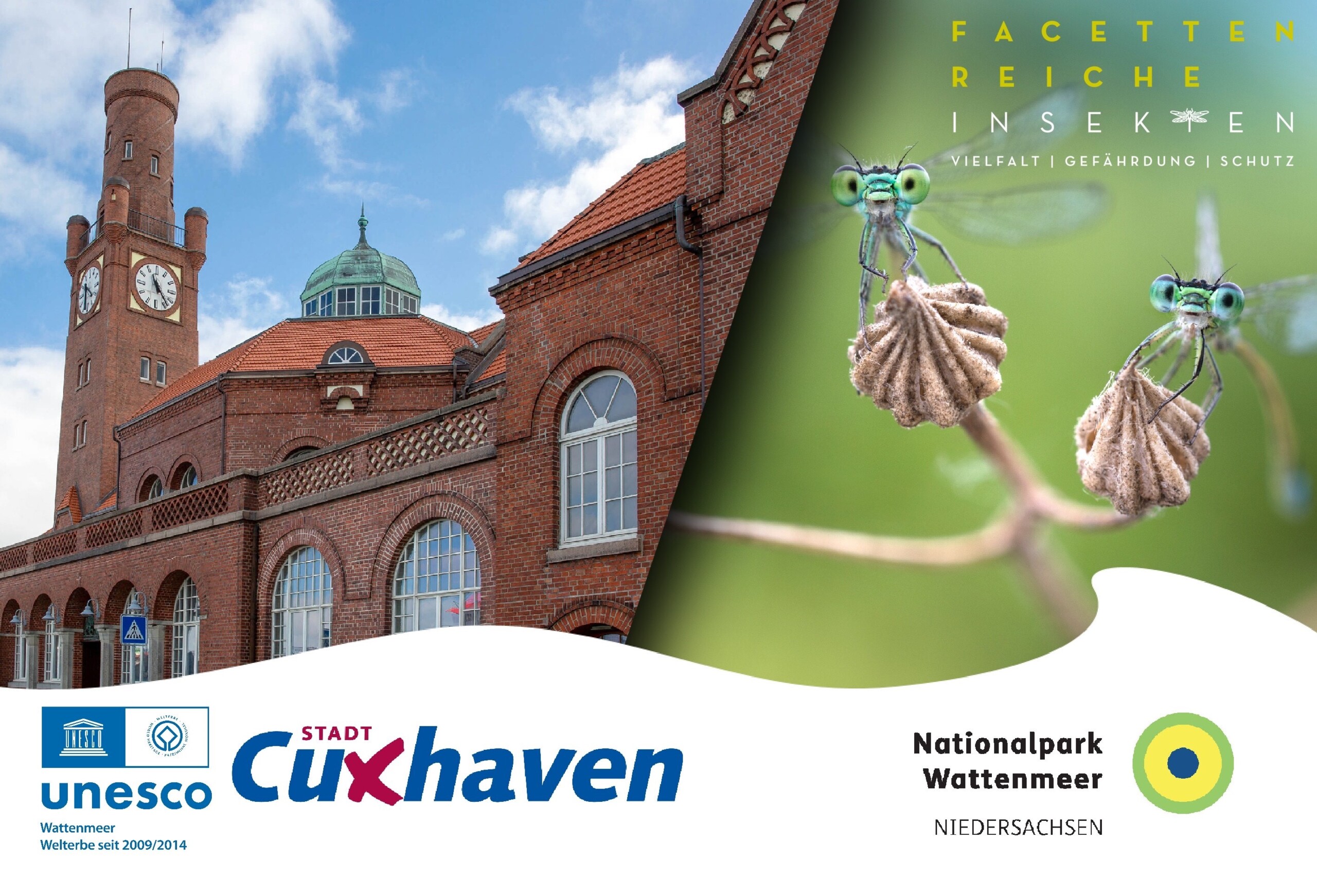 Foto zeigt Hinweis auf die Ausstellung Facettenreiche Insekten in den Happag-Hallen Cuxhaven