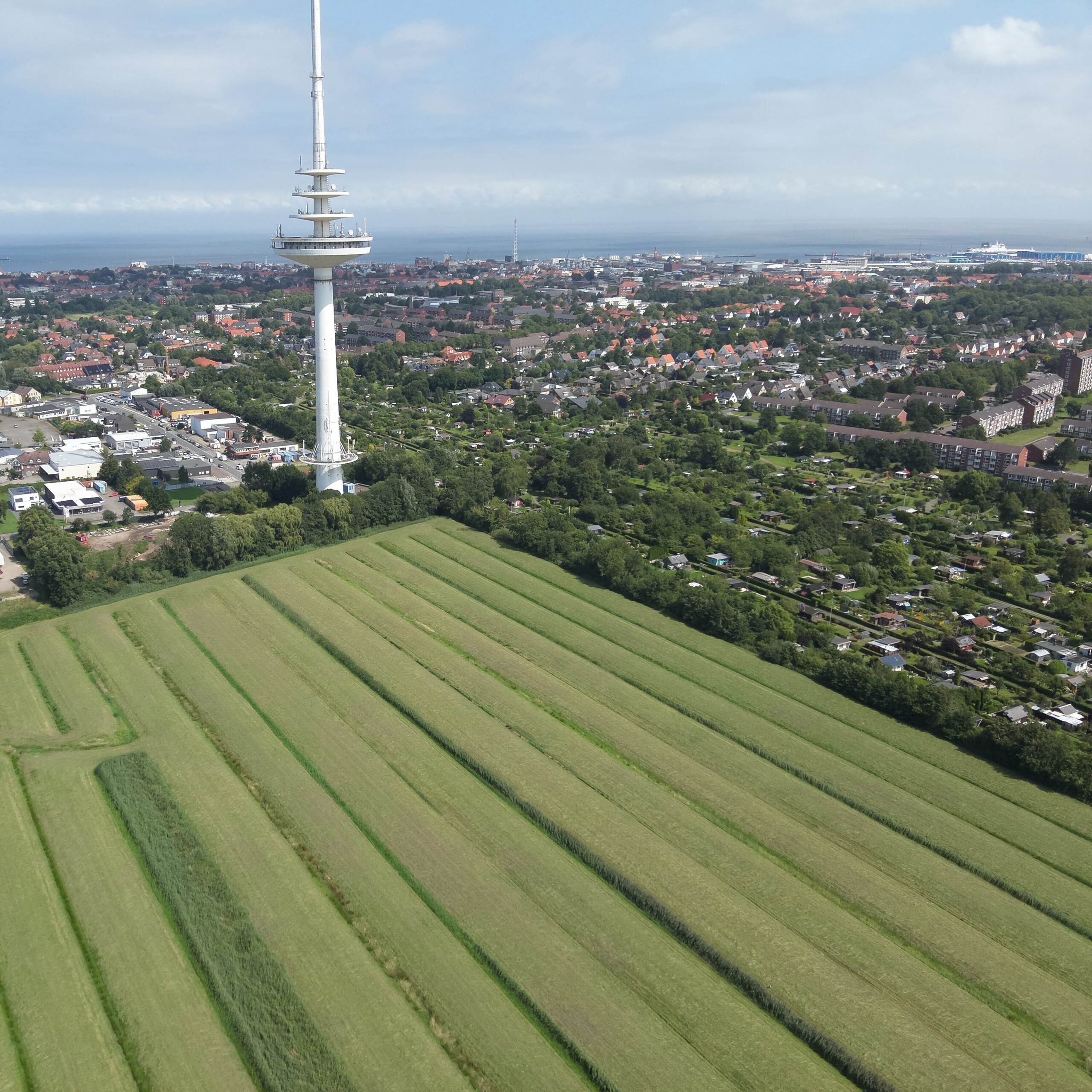 Foto des geplanten Gebietes
