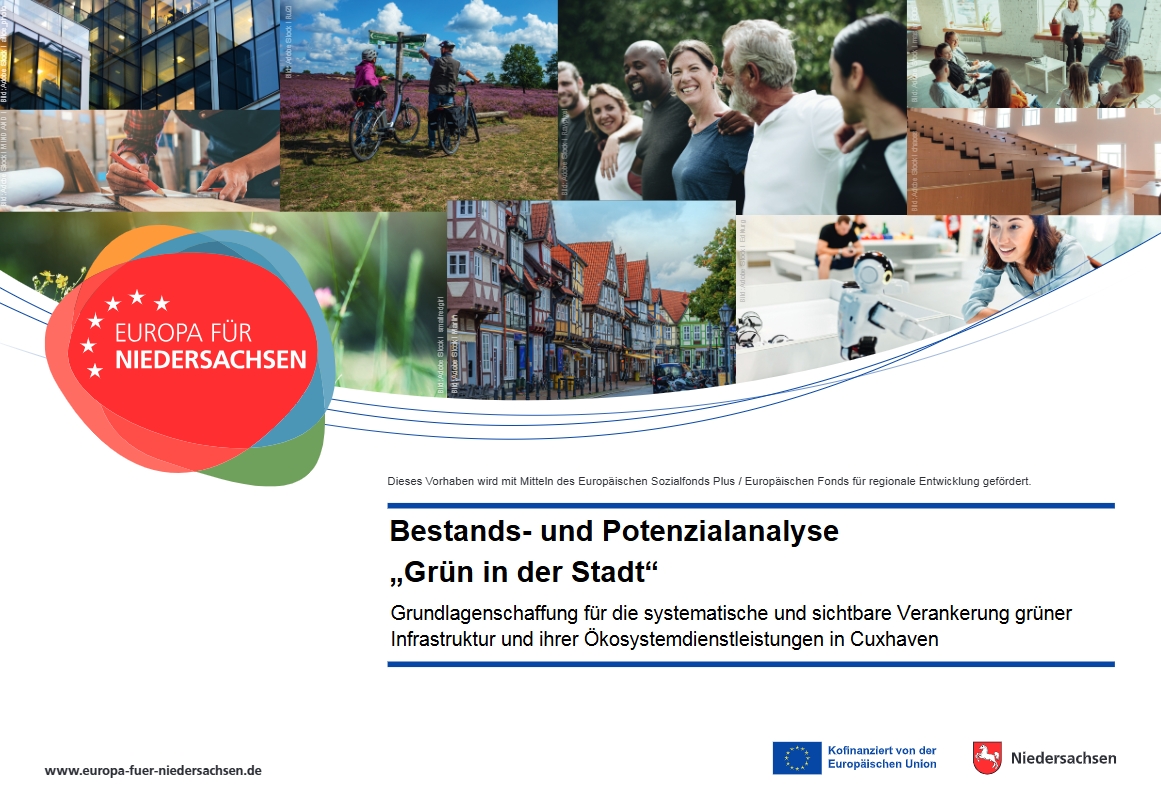 Plakat Bestands- und Potentialanalyse