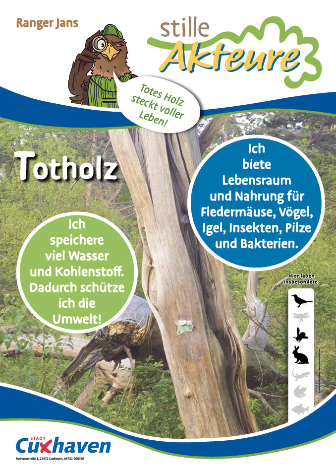 Plakat mit Hinweisen zum Thema Totholz