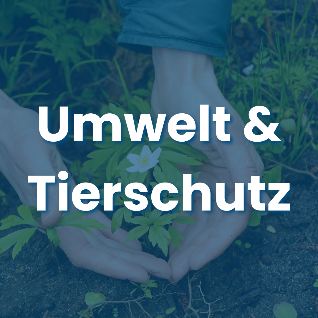 Link zum Angebot Tierschutz