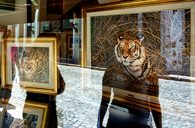 "Real trifft Surreal" Fotoausstellung von Klaus Wehner