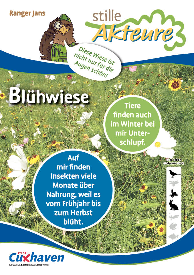 Plakat mit Hinweisen auf Blühwiesen