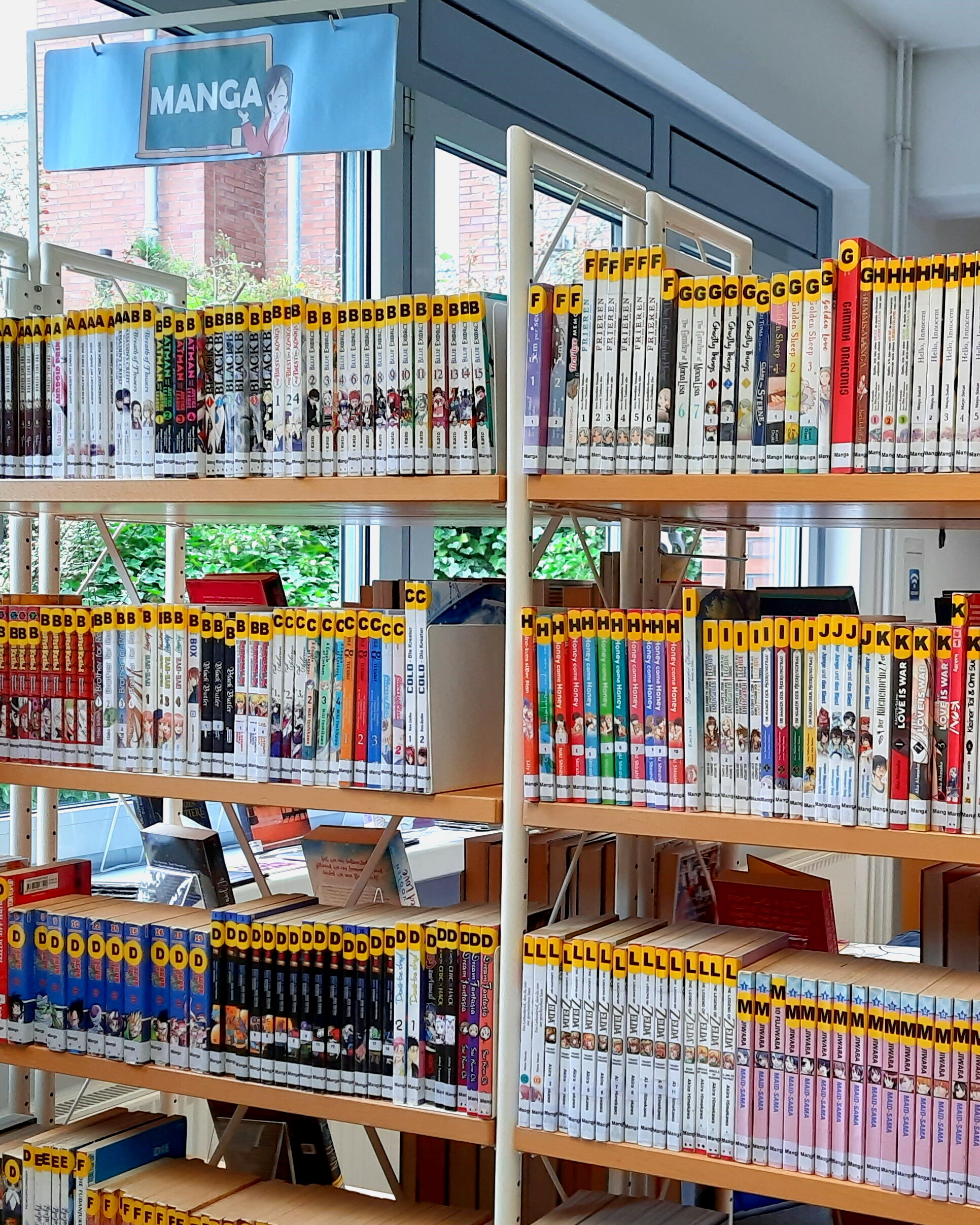 Foto als Link zum Katalog der Stadtbibliothek
